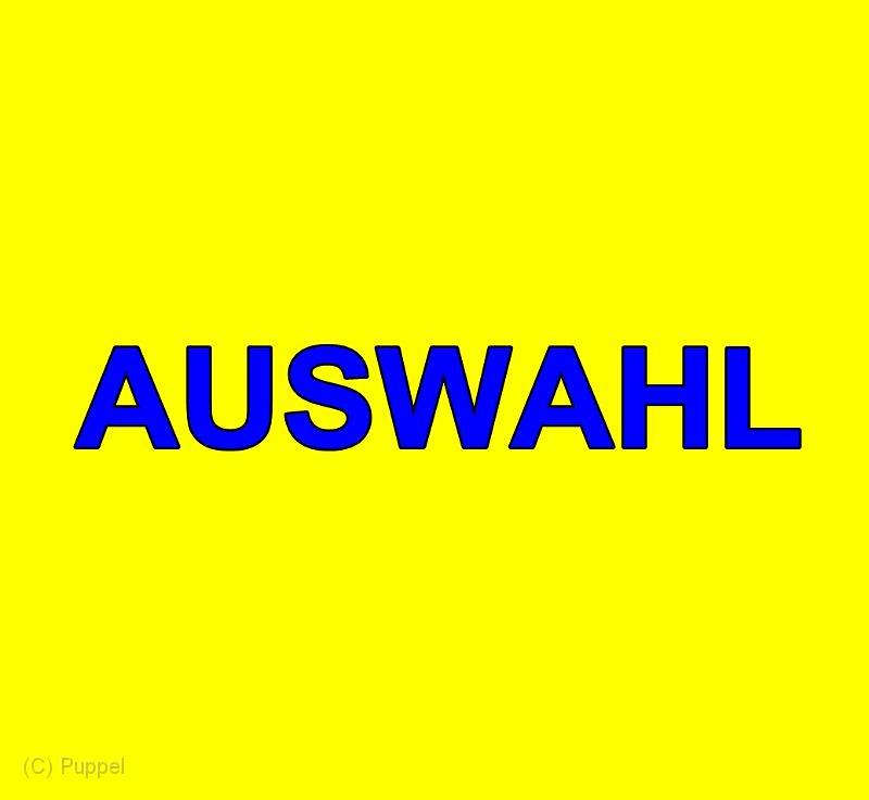 A AUSWAHL.jpg